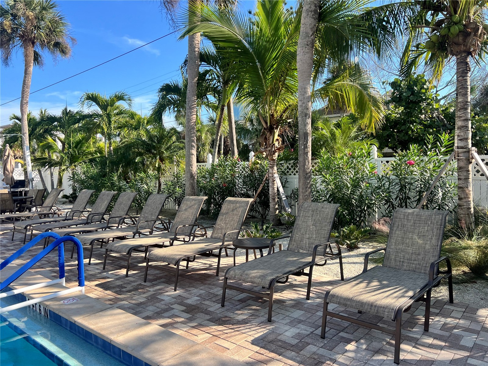 1001 Point Of Rocks Road #208 Sarasota FL 34242 TB8468181 image22