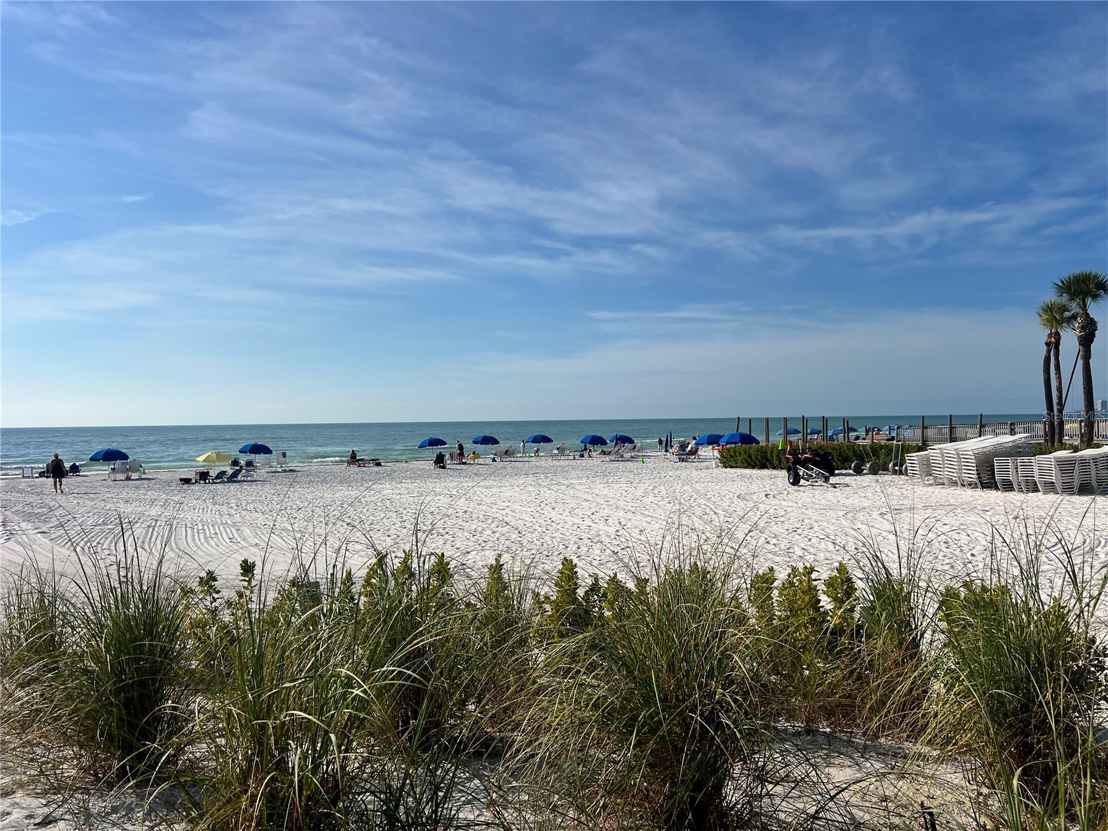 1001 Point Of Rocks Road #309 Sarasota FL 34242 TB8470757 image37