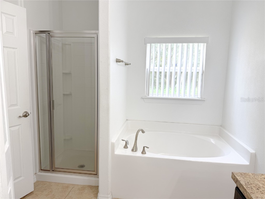 1001 Puget Lane Kissimmee FL 34759 O6368663 image16