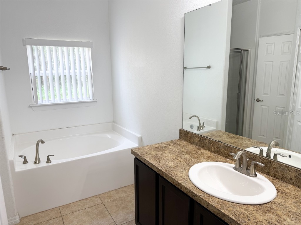 1001 Puget Lane Kissimmee FL 34759 O6368663 image17