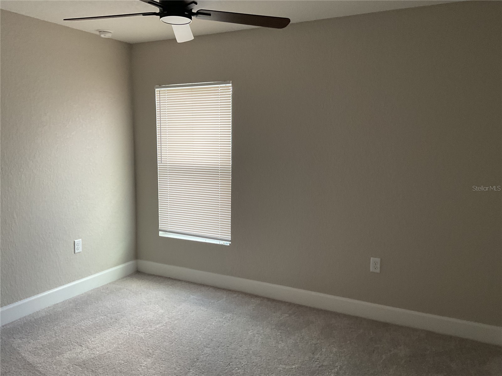 1001 Renfro Street Plant City FL 33563 TB8507020 image14