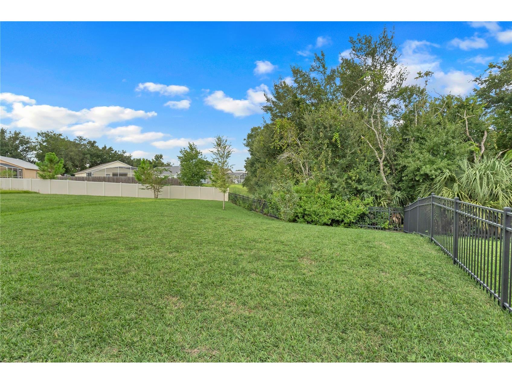 1001 Rivers Crossing Street Clermont FL 34714 O6239355 image33