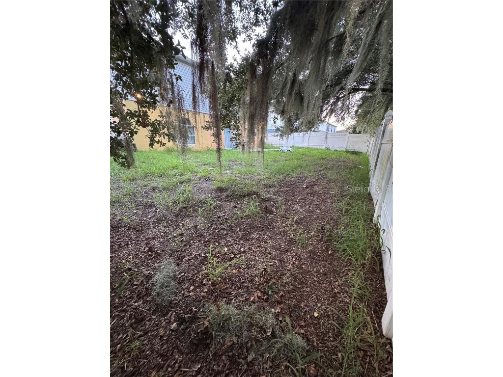 1001 Ronlin Street Haines City FL 33844 P4936807 image17