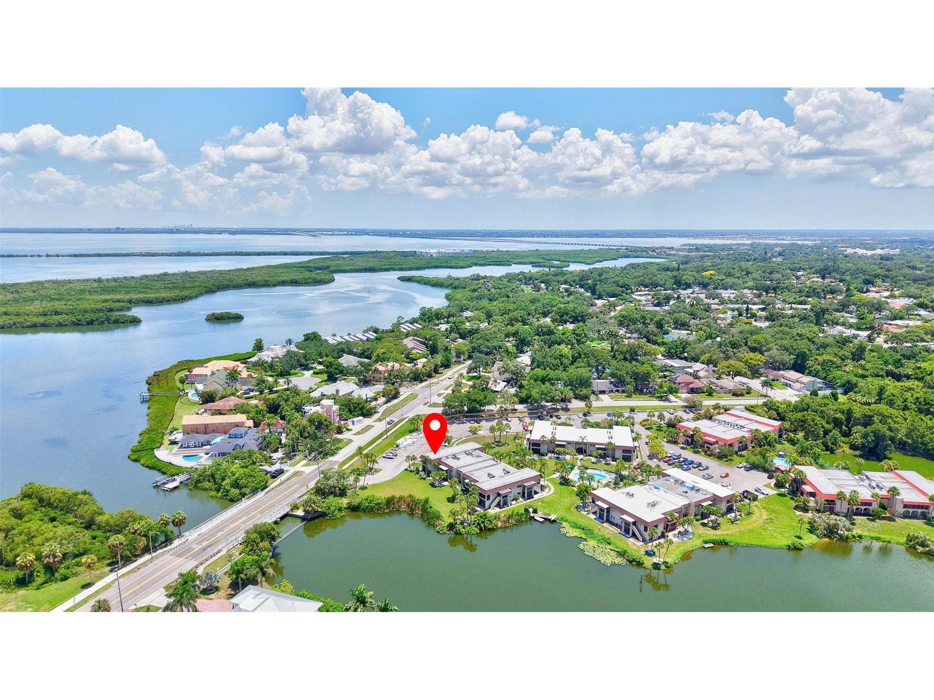 1001 S Bayshore Boulevard #101 Safety Harbor FL 34695 TB8525467 image39
