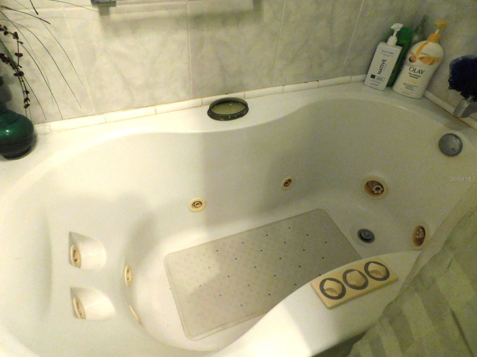 1001 Starkey Road #395 Largo FL 33771 TB8493376 image20