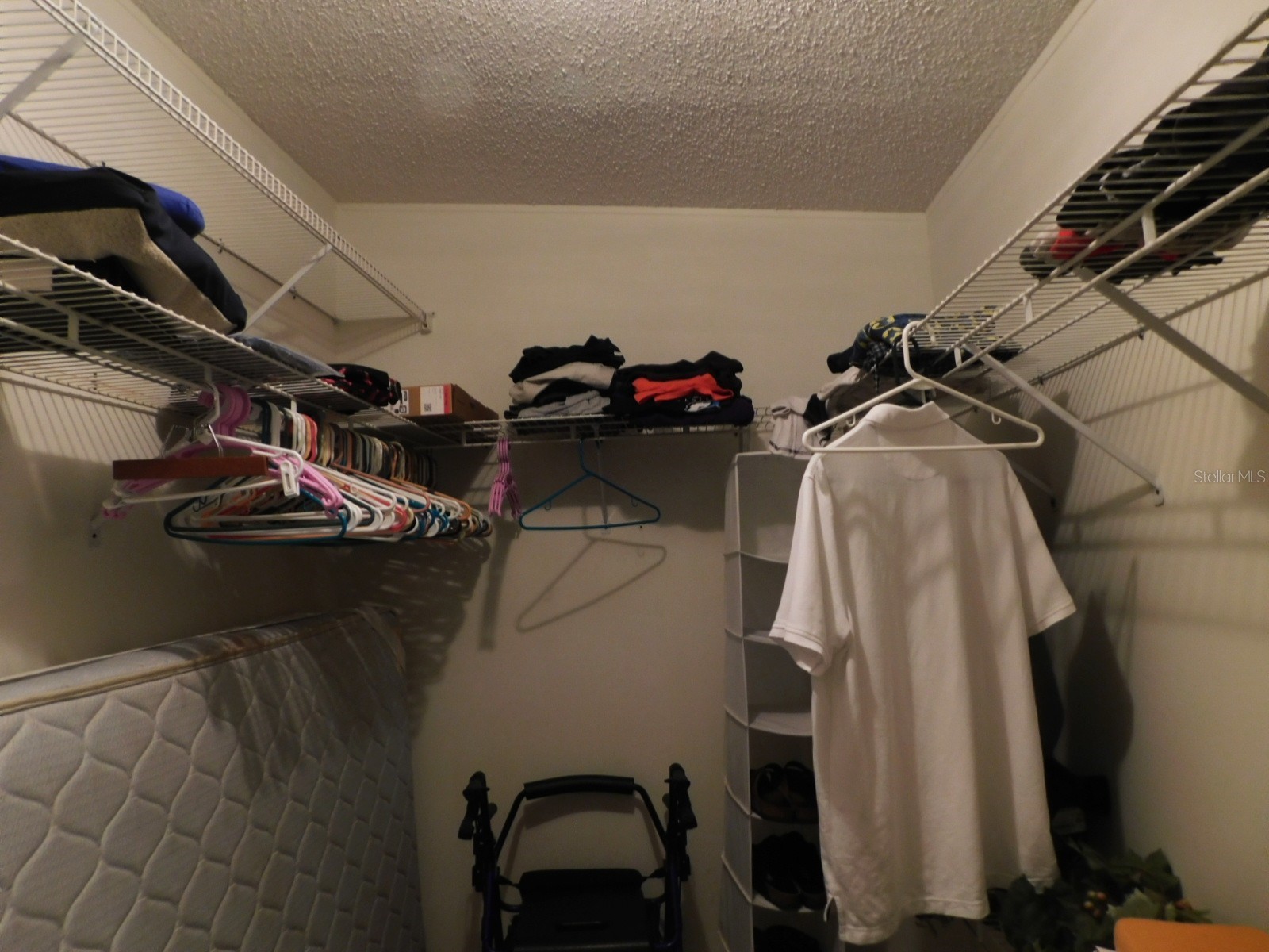 1001 Starkey Road #395 Largo FL 33771 TB8493376 image49