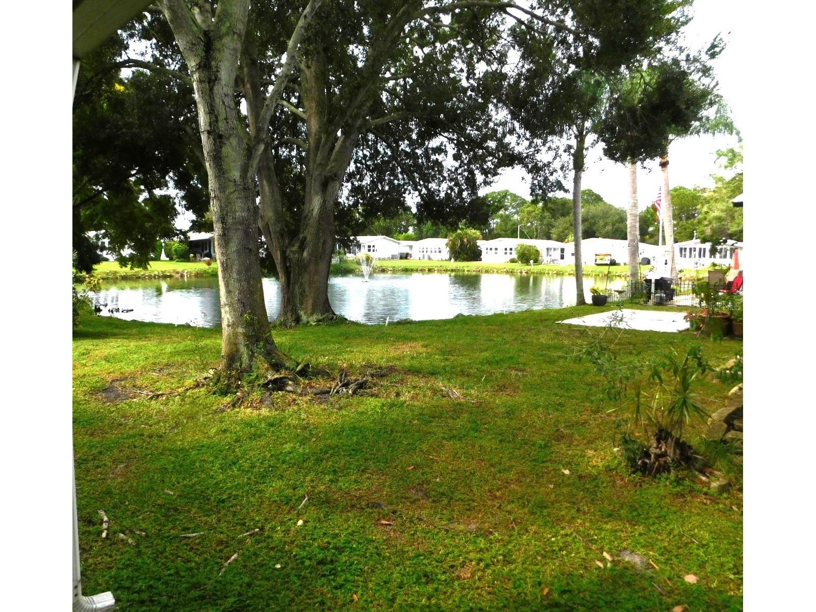 1001 Starkey Road #639 Largo FL 33771 TB8493450 image2