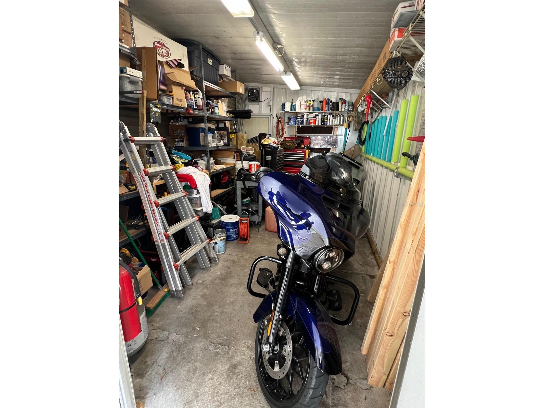 1001 Starkey Road #731 Largo FL 33771 TB8436145 image33