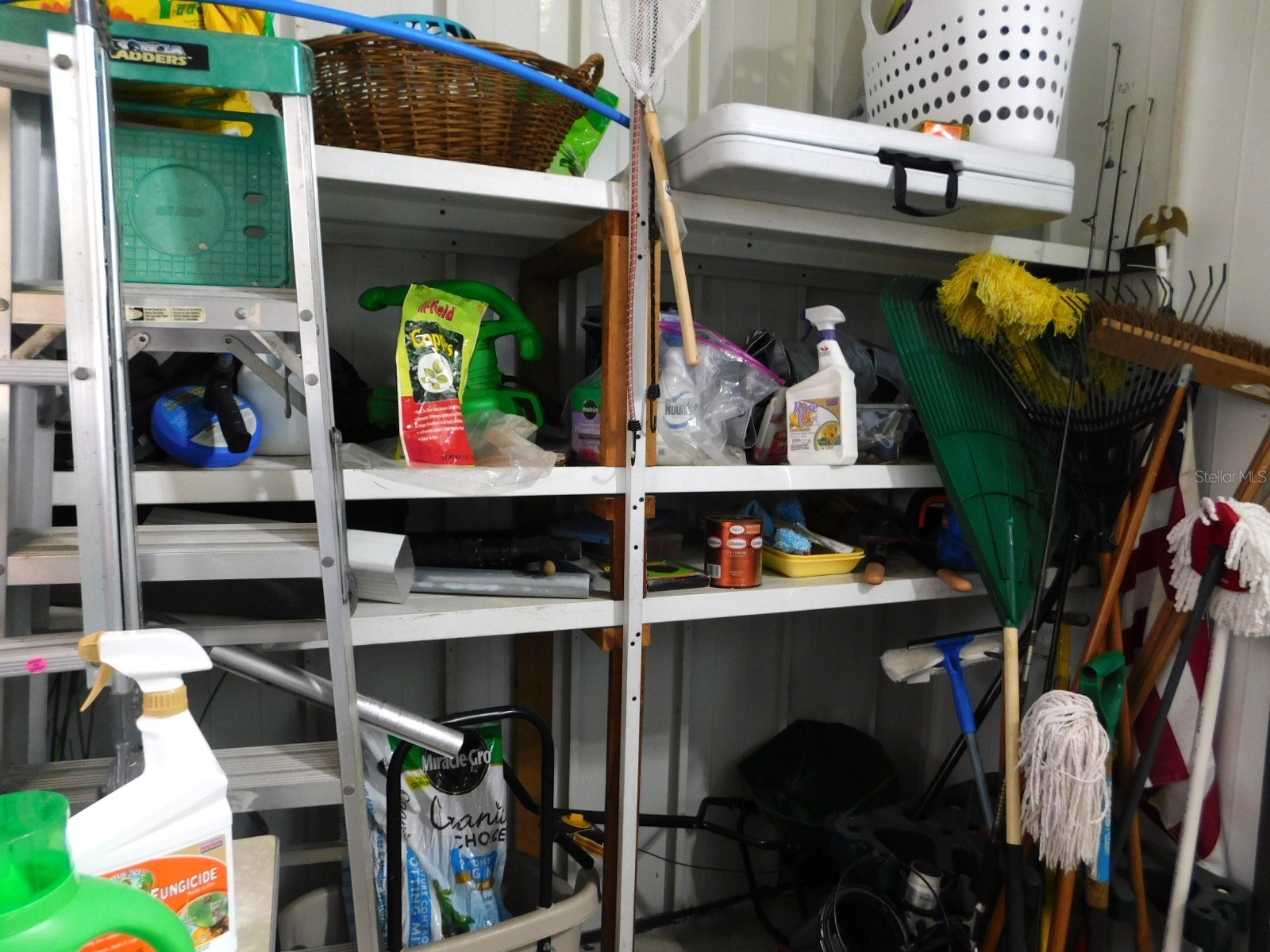 1001 Starkey Road #99 Largo FL 33771 TB8492915 image32