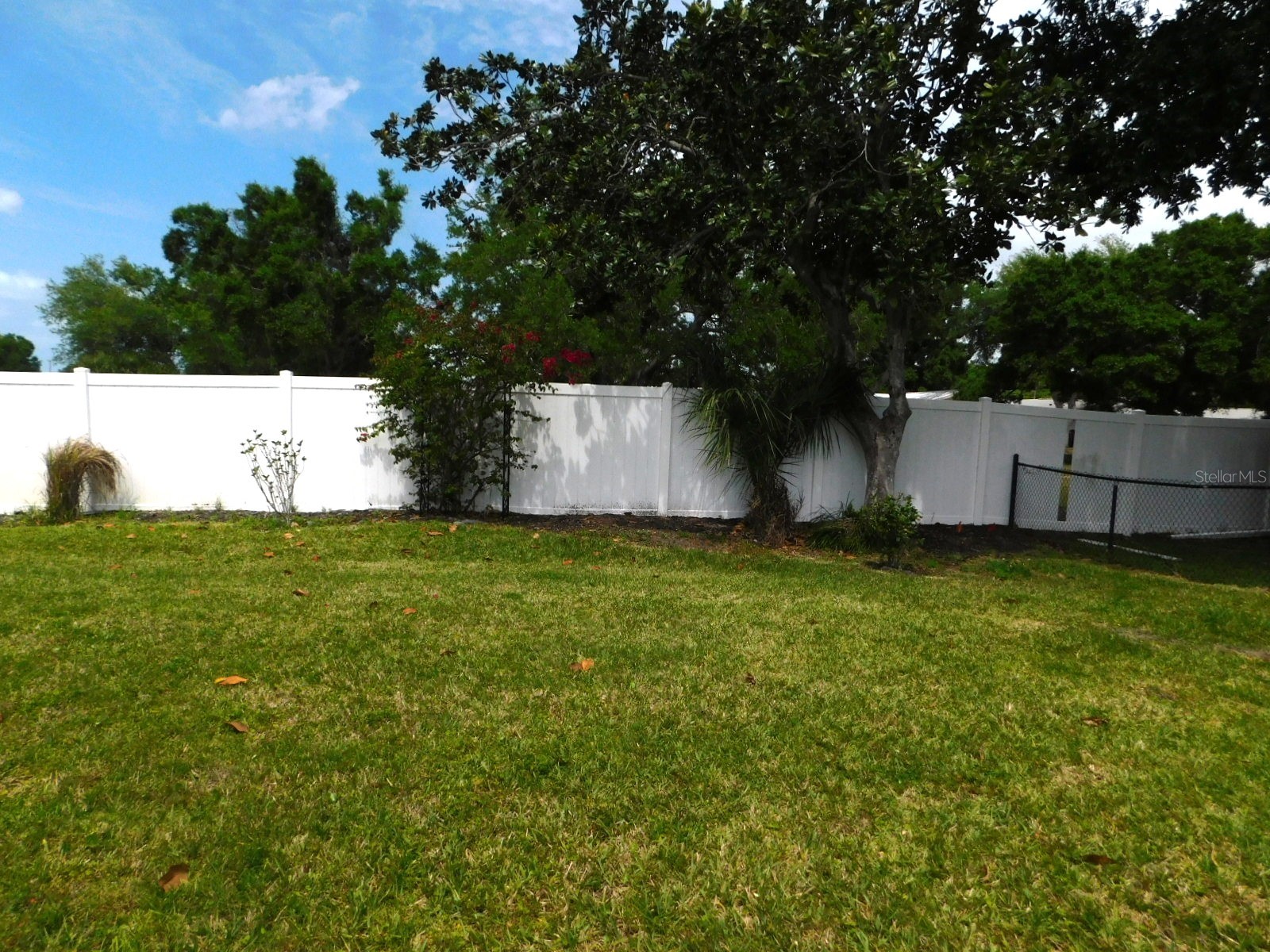 1001 Starkey Road #99 Largo FL 33771 TB8492915 image6