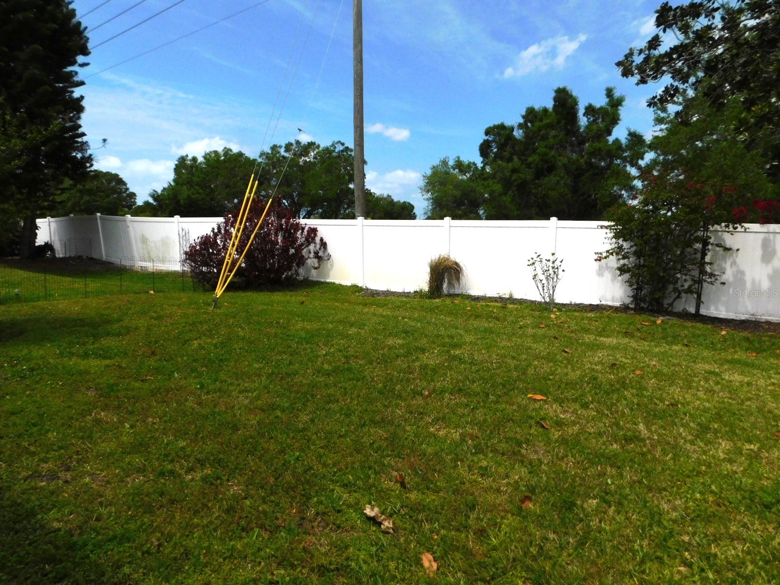 1001 Starkey Road #99 Largo FL 33771 TB8492915 image7