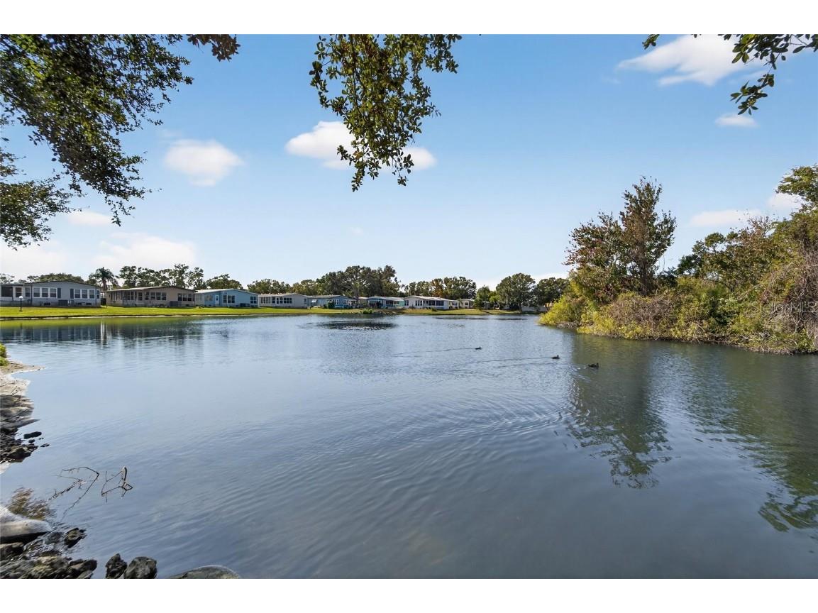 1001 Starkey Road Lot#355 Largo FL 33771 TB8450627 image52