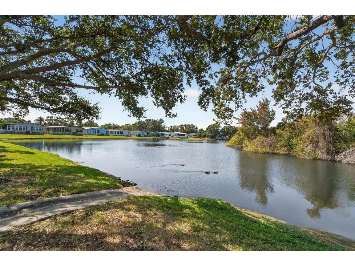 1001 Starkey Road Lot#355 Largo FL 33771 TB8450627 image53