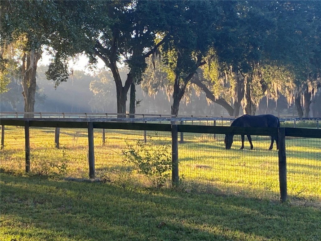 1001 SW 123rd Place Lot 2 Ocala FL 34473 OM637649 image1