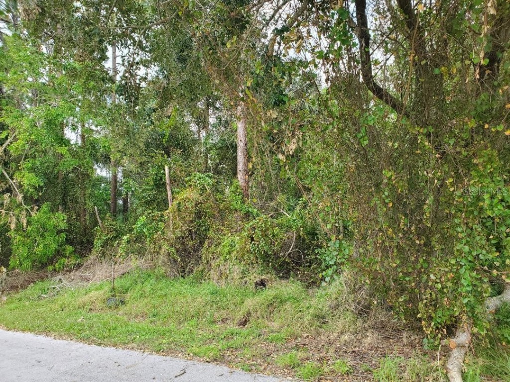 1001 SW Castaneda Lane Port Saint Lucie FL 34953 FC304575 image1