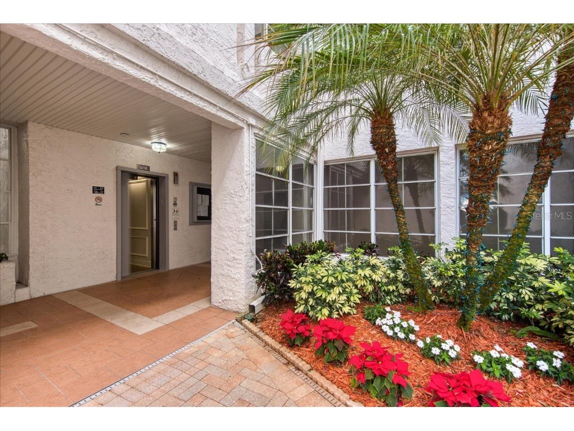 1001 Tartan Drive #205 Palm Harbor FL 34684 - LAKE TARPON U8228063 image1