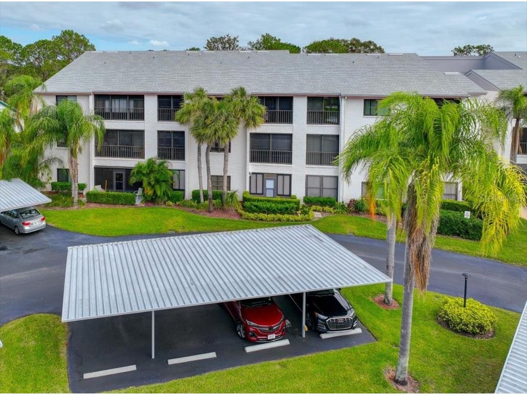 1001 Tartan Drive #207 Palm Harbor FL 34684 TB8312427 image1