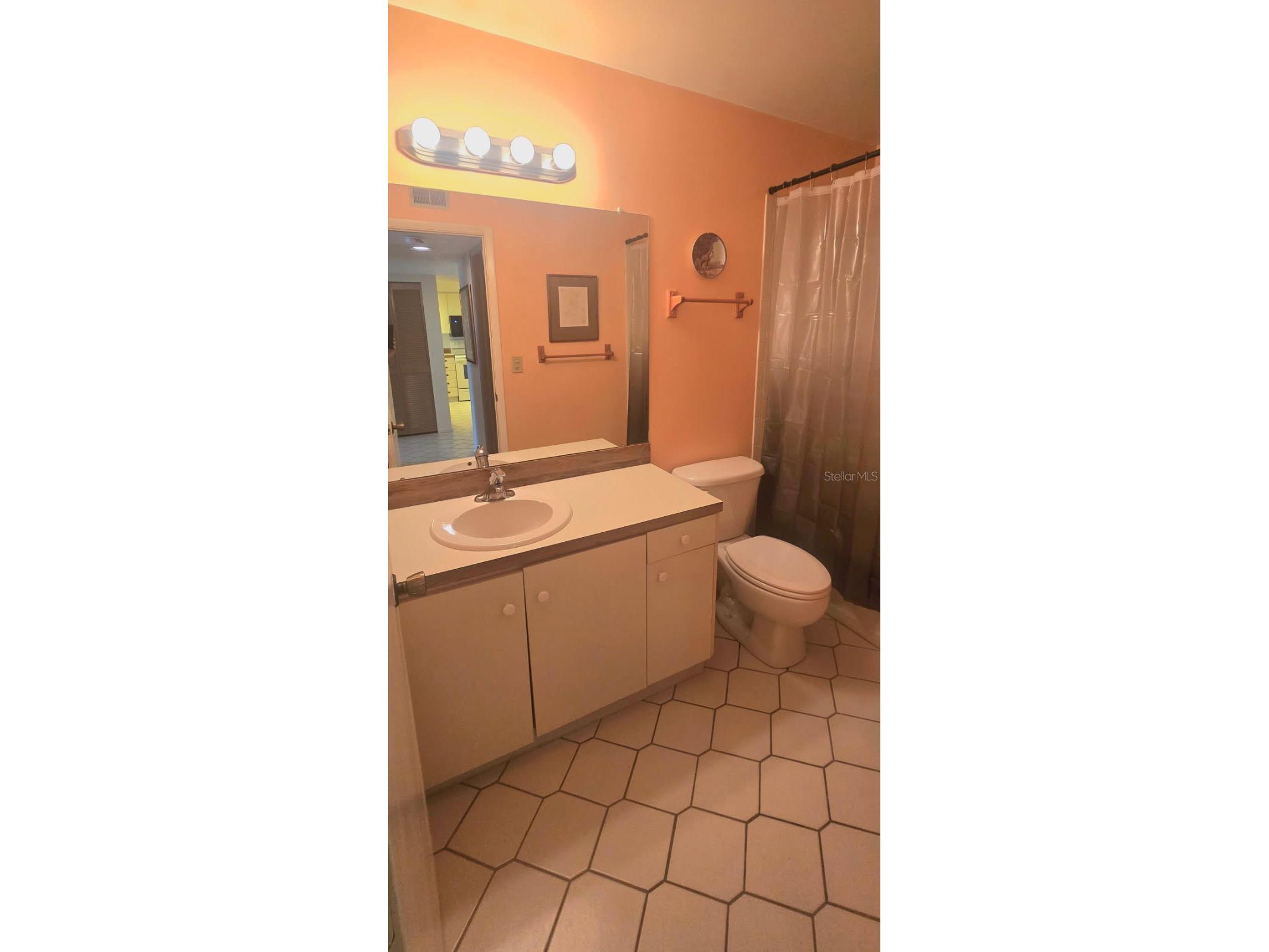 1001 Tartan Drive #302 Palm Harbor FL 34684 TB8482639 image17