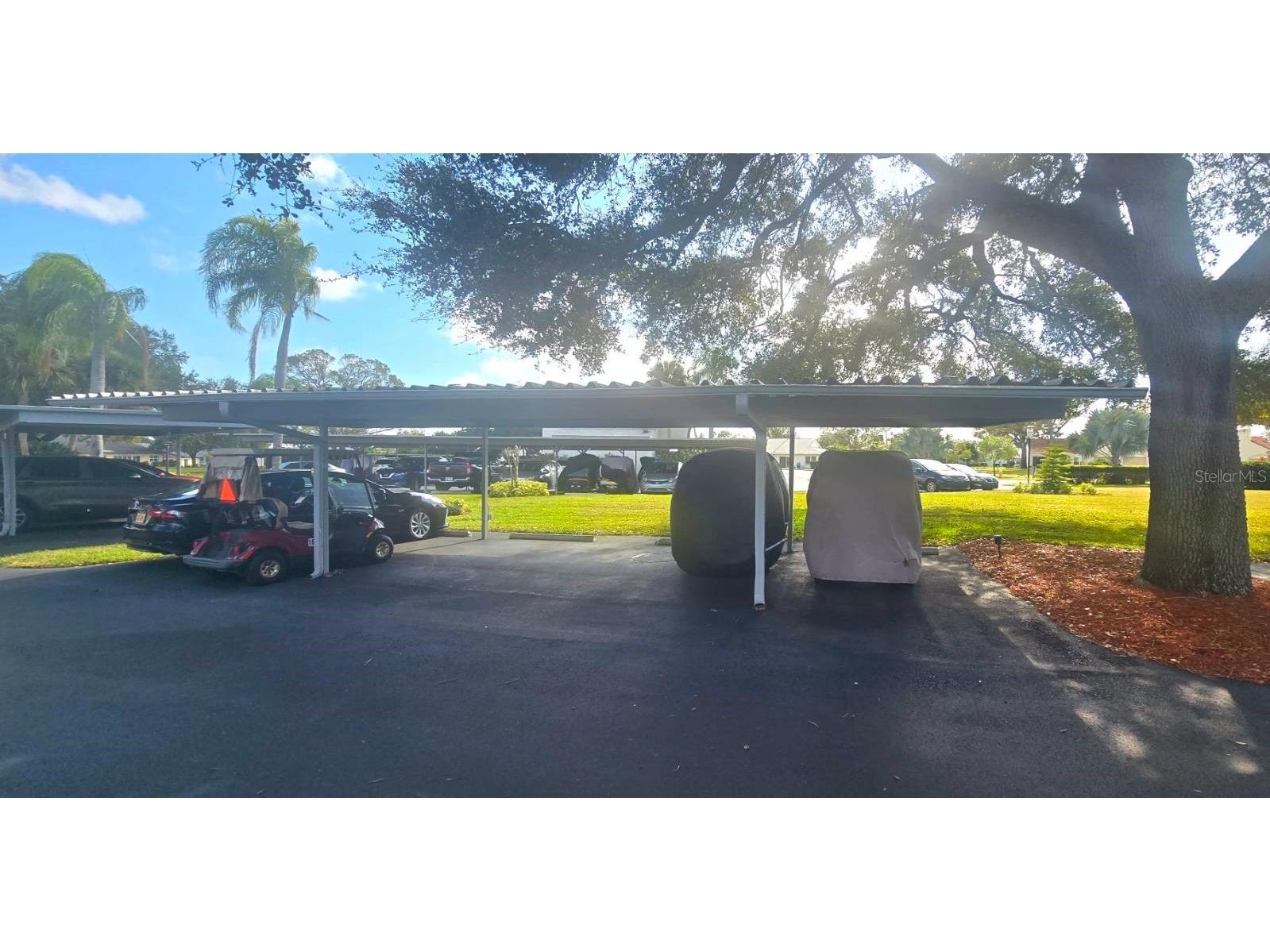 1001 Tartan Drive #302 Palm Harbor FL 34684 TB8482639 image18