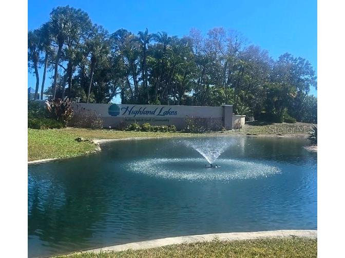 1001 Tartan Drive #302 Palm Harbor FL 34684 TB8482639 image2