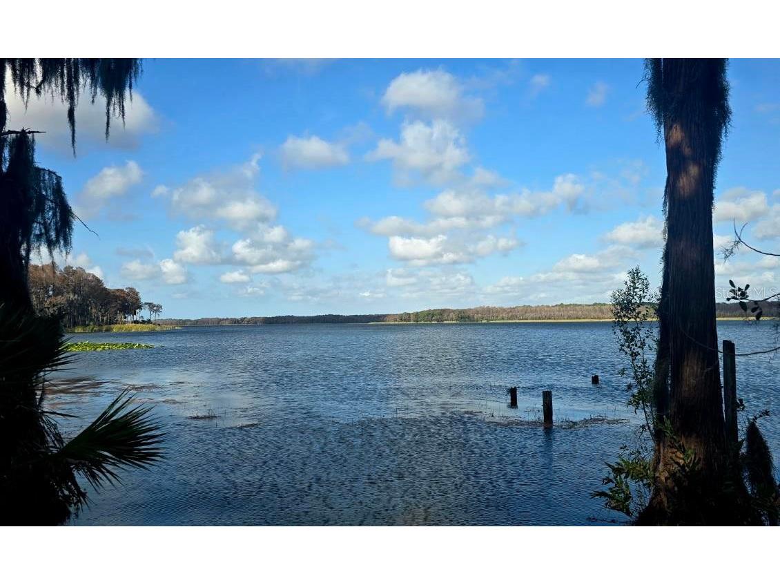 1001 Tartan Drive #302 Palm Harbor FL 34684 TB8482639 image23
