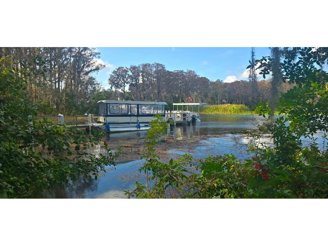1001 Tartan Drive #302 Palm Harbor FL 34684 TB8482639 image24
