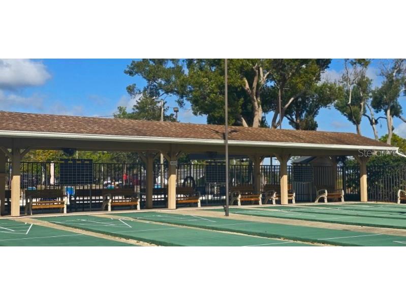 1001 Tartan Drive #302 Palm Harbor FL 34684 TB8482639 image28