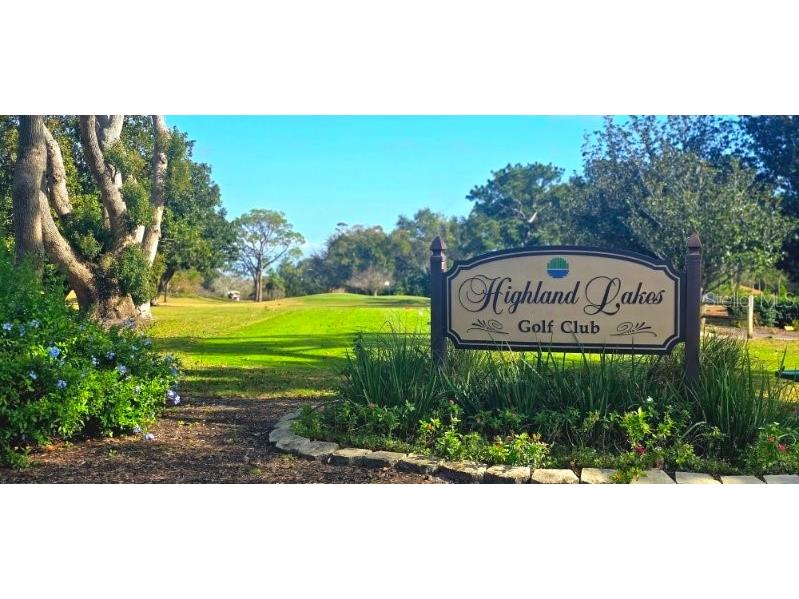 1001 Tartan Drive #302 Palm Harbor FL 34684 TB8482639 image29