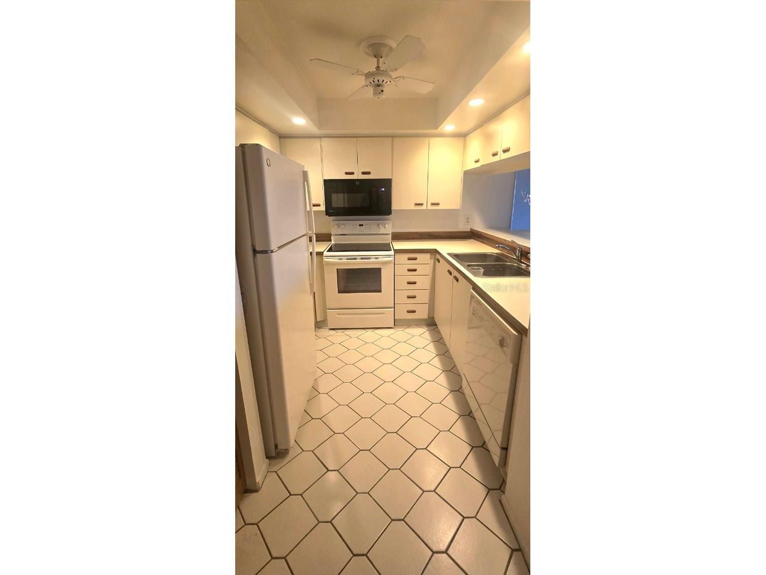 1001 Tartan Drive #302 Palm Harbor FL 34684 TB8482639 image7