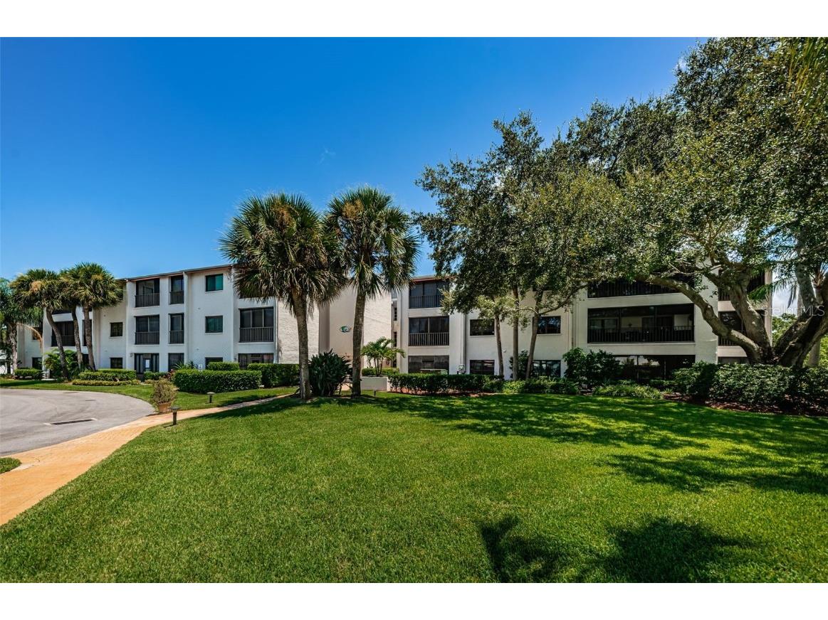1001 Tartan Drive #307 Palm Harbor FL 34684 U8207489 image1