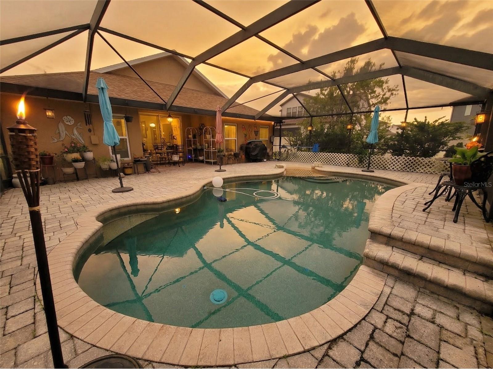 1001 Torreya Way Odessa FL 33556 O6397494 image40