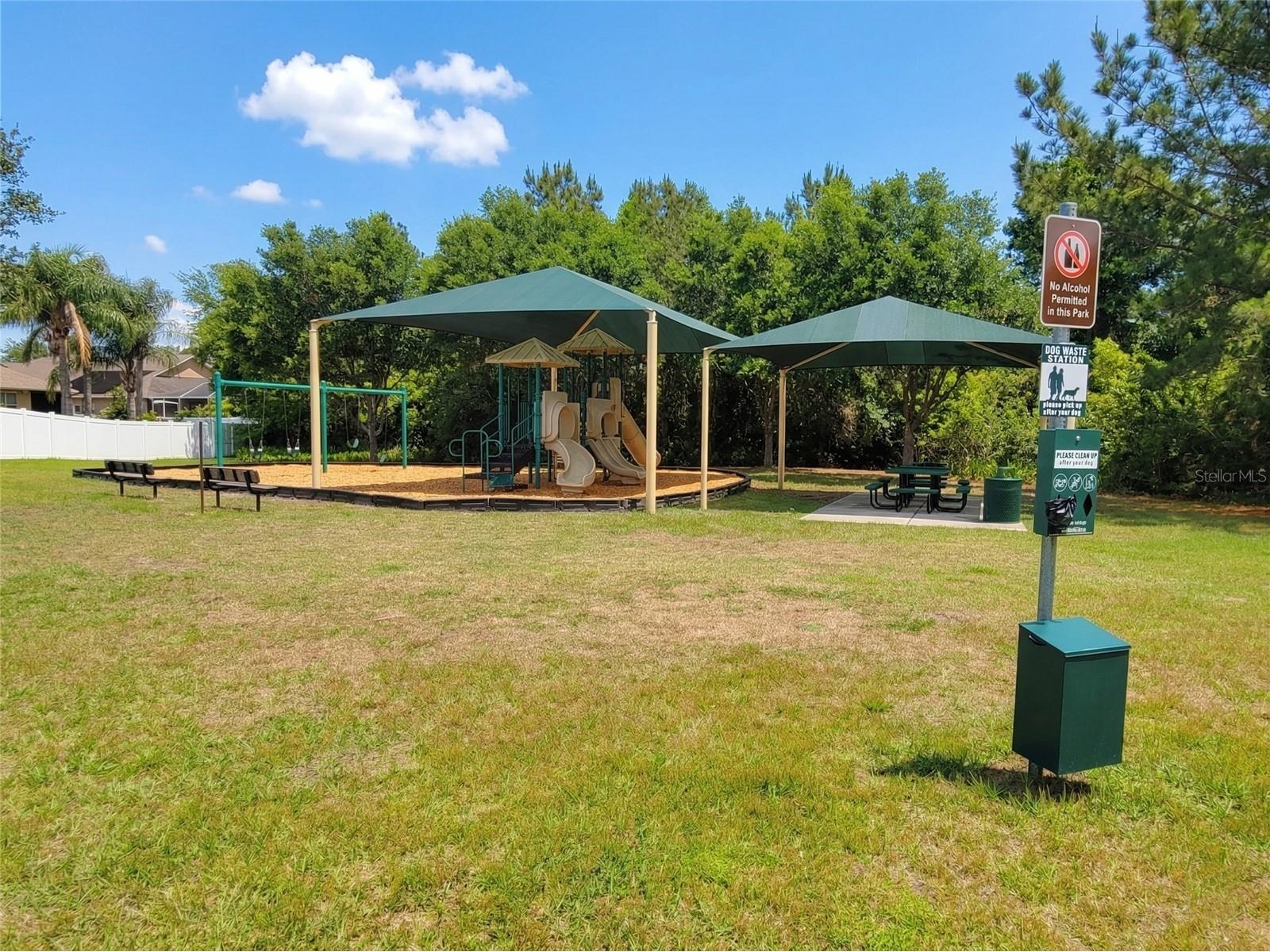 1001 Torreya Way Odessa FL 33556 O6397494 image42
