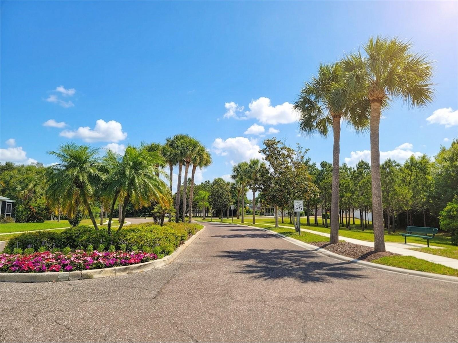 1001 Torreya Way Odessa FL 33556 O6397494 image43