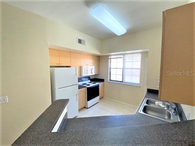 1001 Via Santae Lane #201 Celebration FL 34747 S5120374 image8