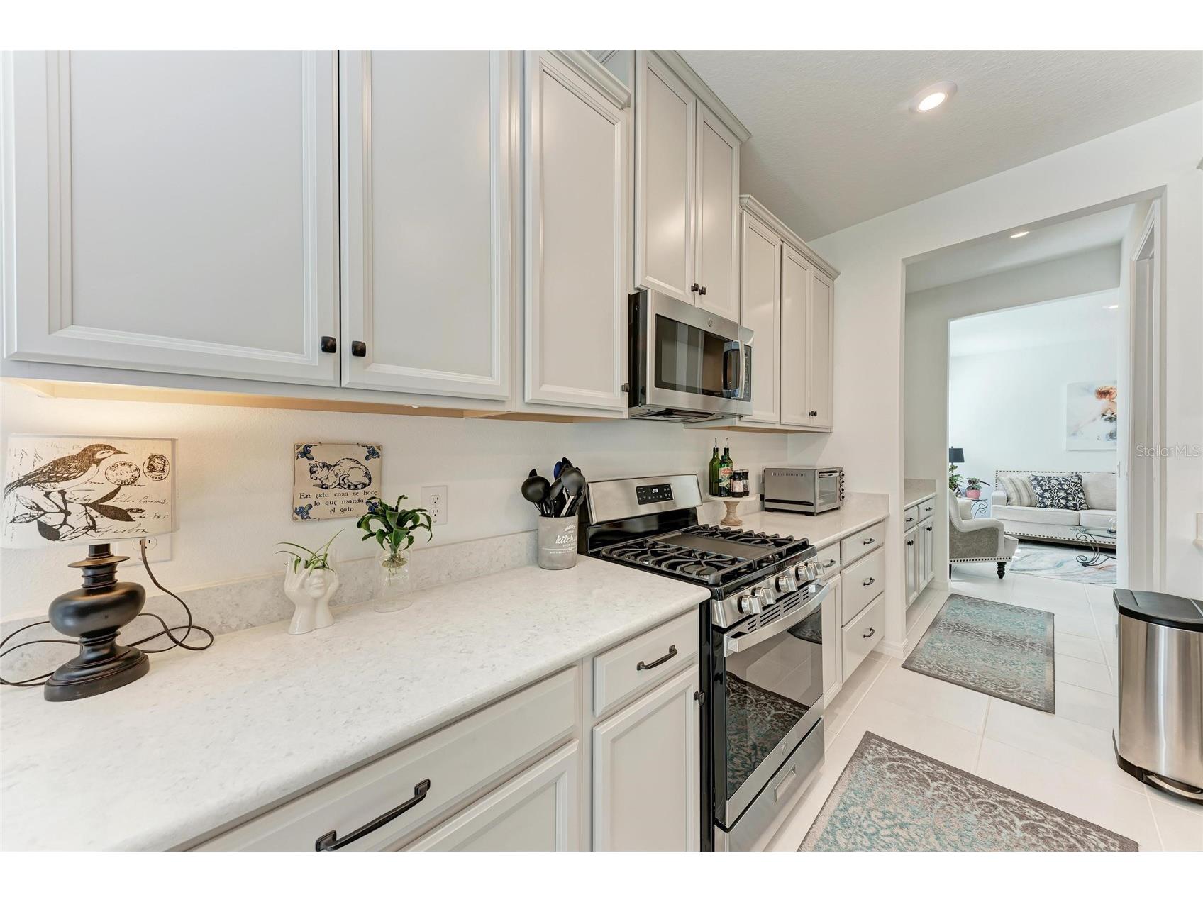 10010 Buckman Halls Drive Palmetto FL 34221 A4687996 image20