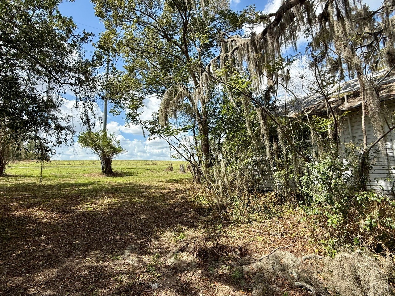 10010 Fort King Road Dade City FL 33525 W7883876 image21