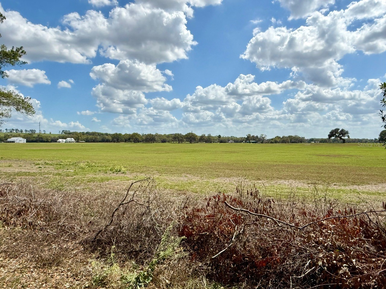 10010 Fort King Road Dade City FL 33525 W7883876 image22