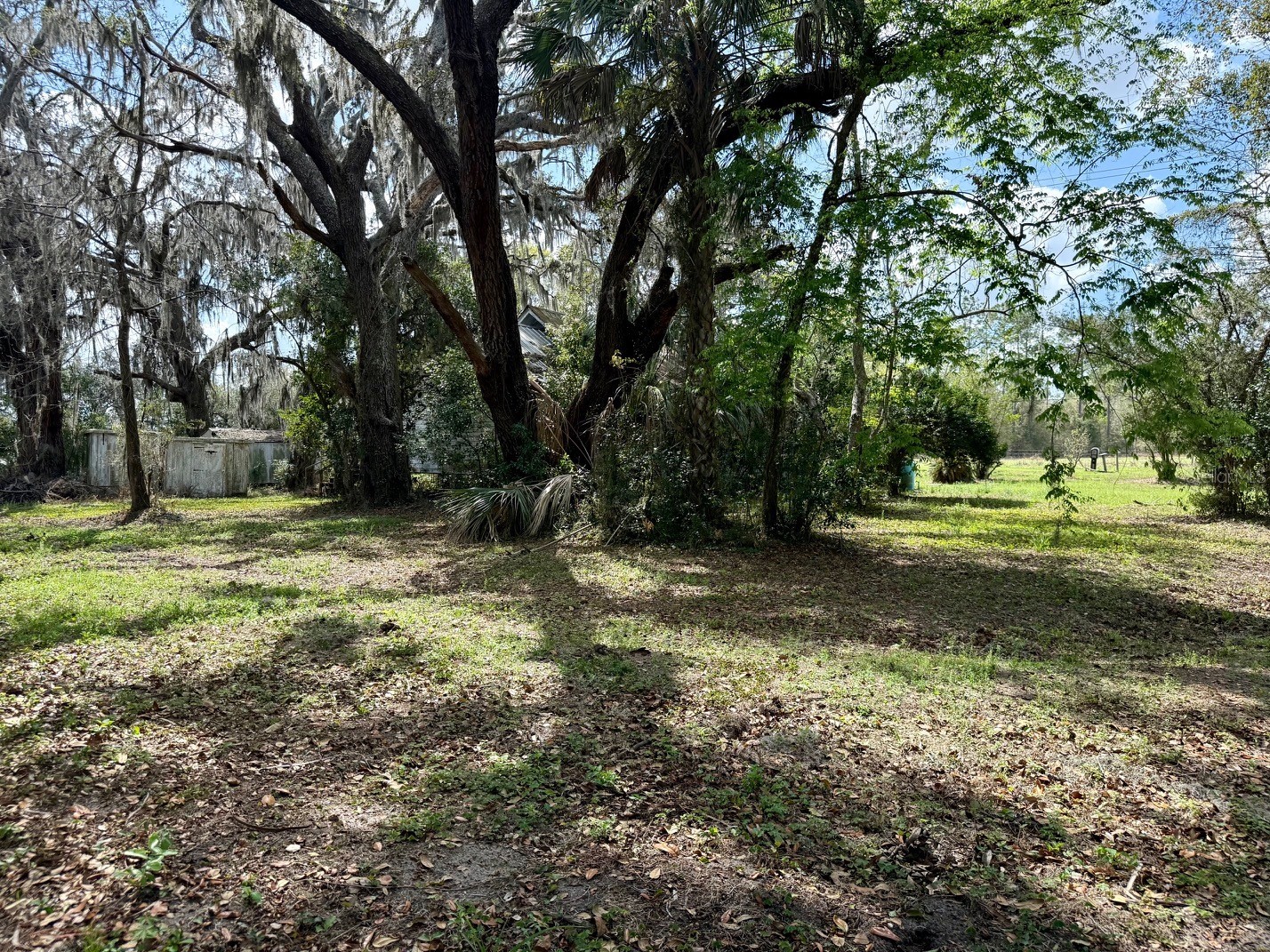 10010 Fort King Road Dade City FL 33525 W7883876 image23