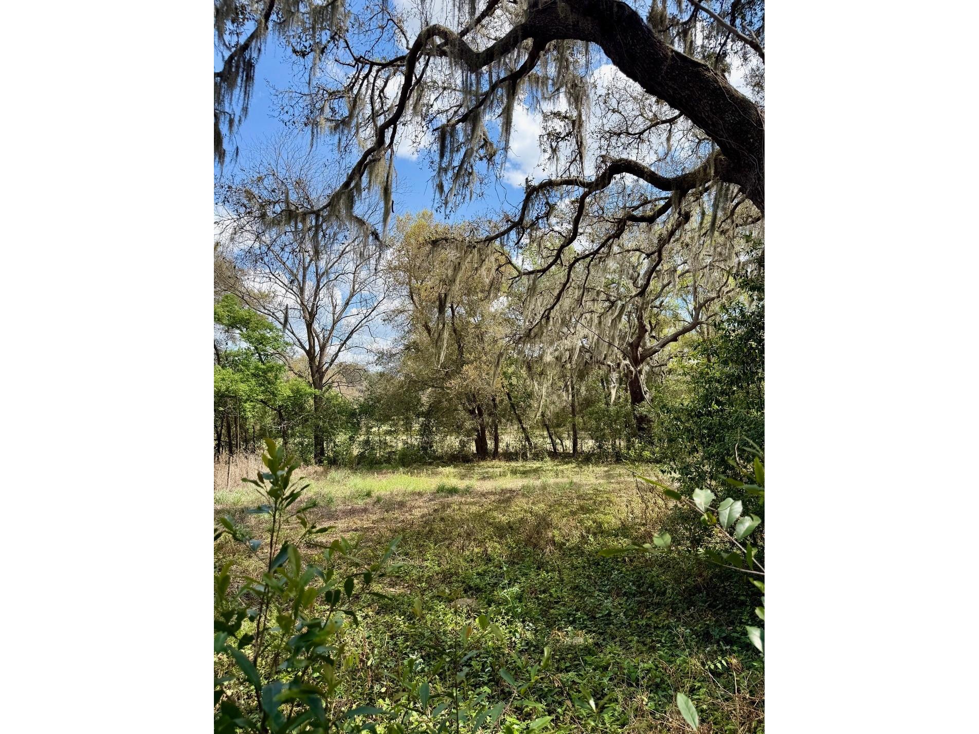 10010 Fort King Road Dade City FL 33525 W7883876 image25