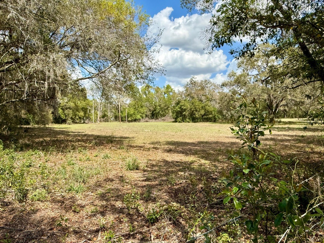 10010 Fort King Road Dade City FL 33525 W7883876 image26