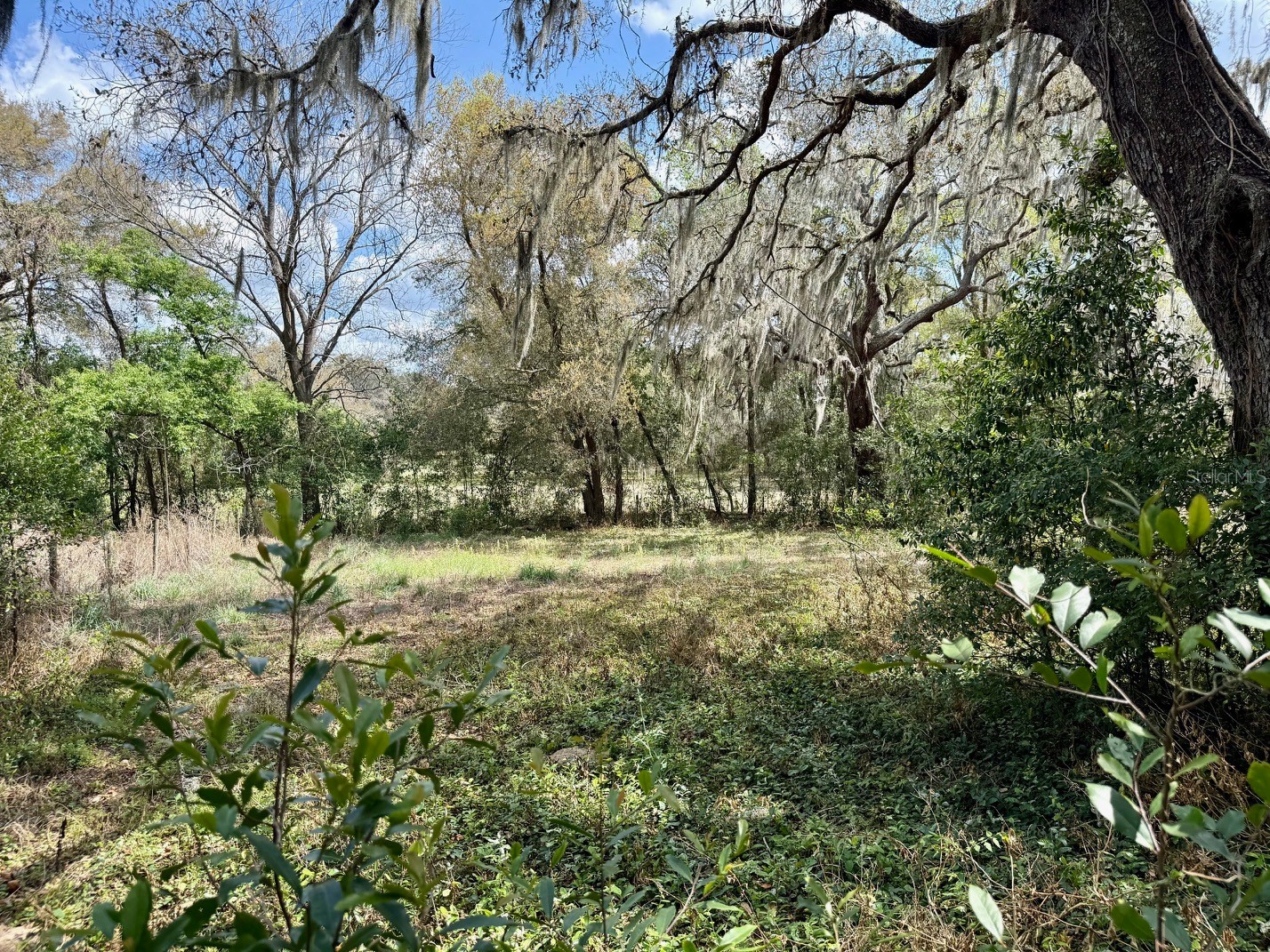 10010 Fort King Road Dade City FL 33525 W7883876 image27