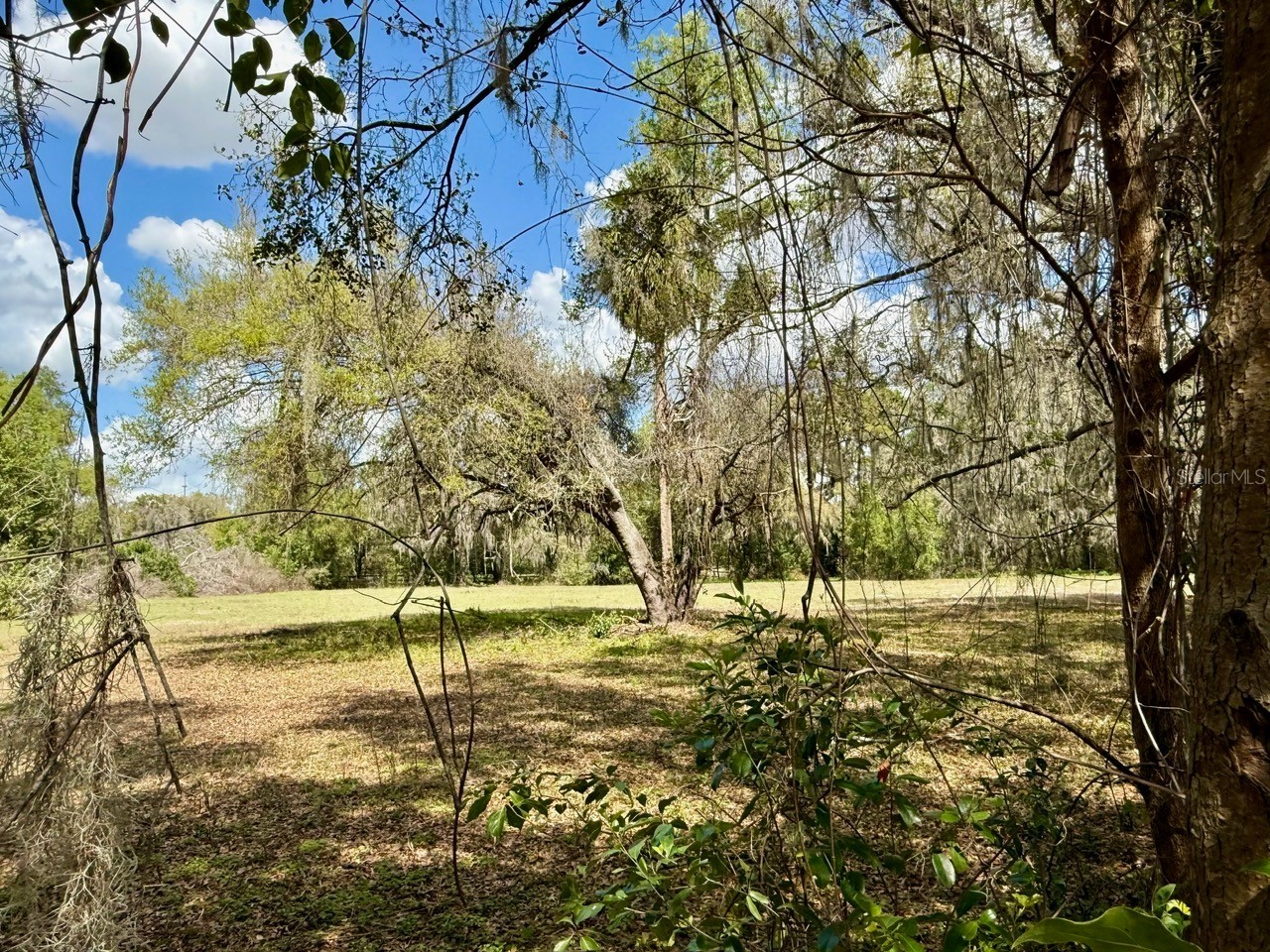 10010 Fort King Road Dade City FL 33525 W7883876 image28