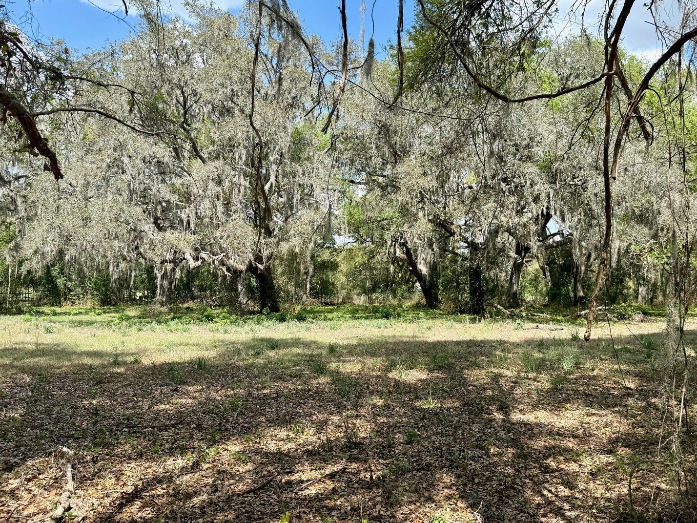 10010 Fort King Road Dade City FL 33525 W7883876 image31