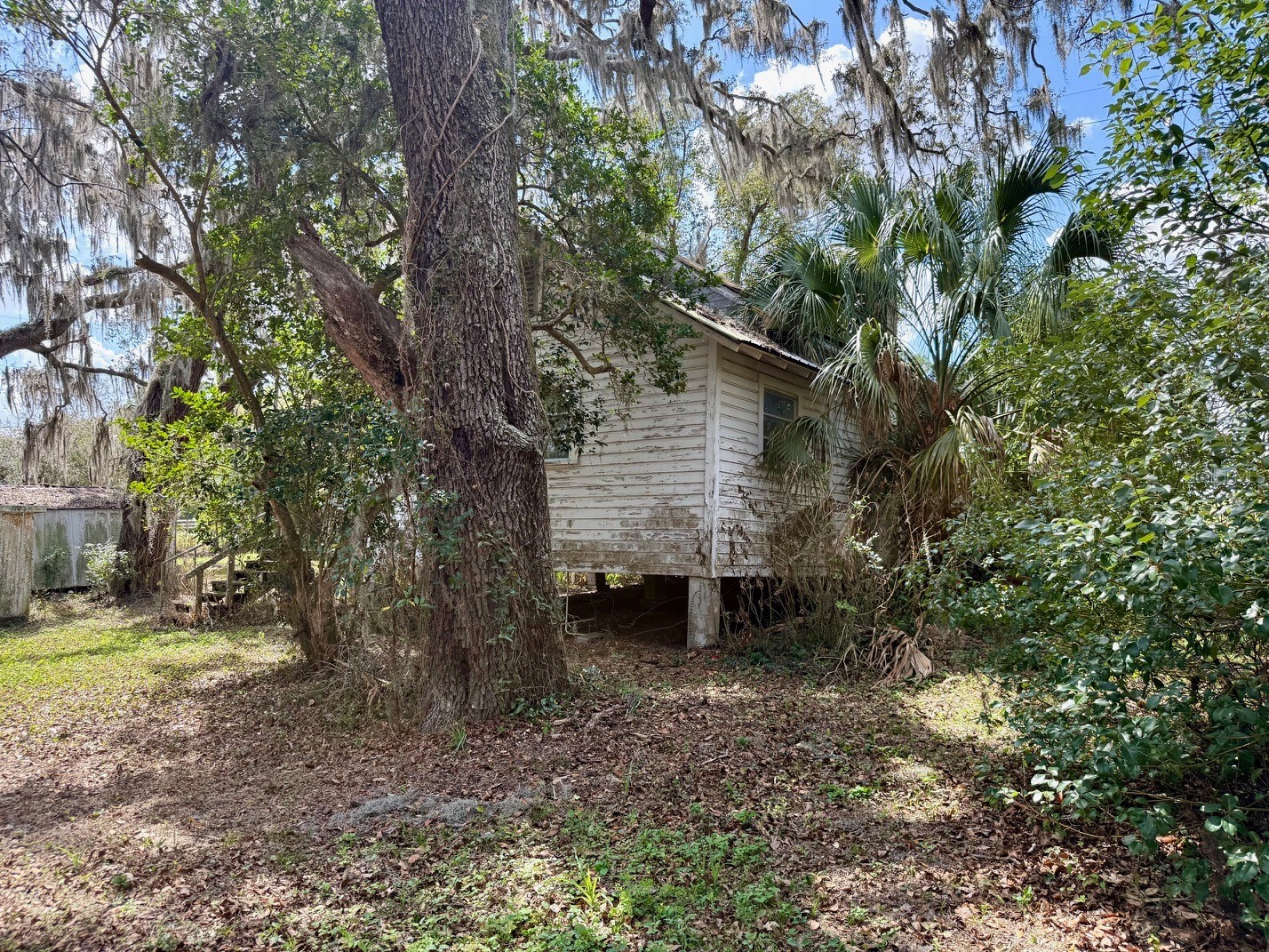 10010 Fort King Road Dade City FL 33525 W7883929 image13