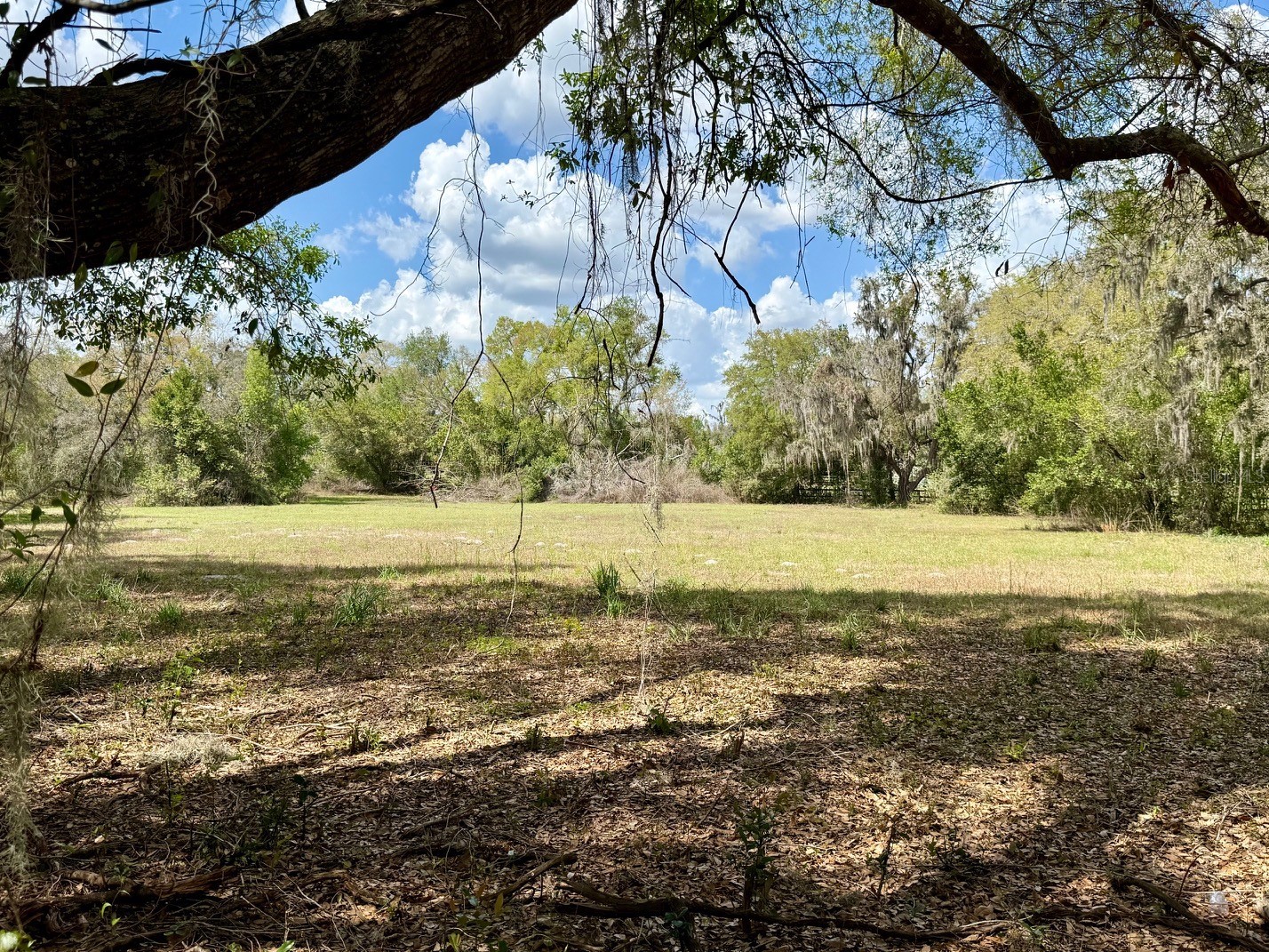 10010 Fort King Road Dade City FL 33525 W7883929 image2