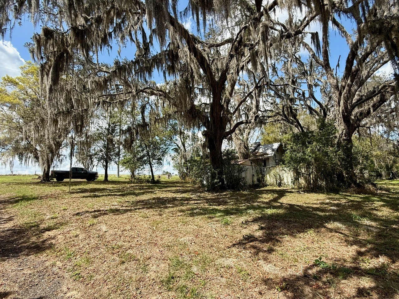 10010 Fort King Road Dade City FL 33525 W7883929 image3