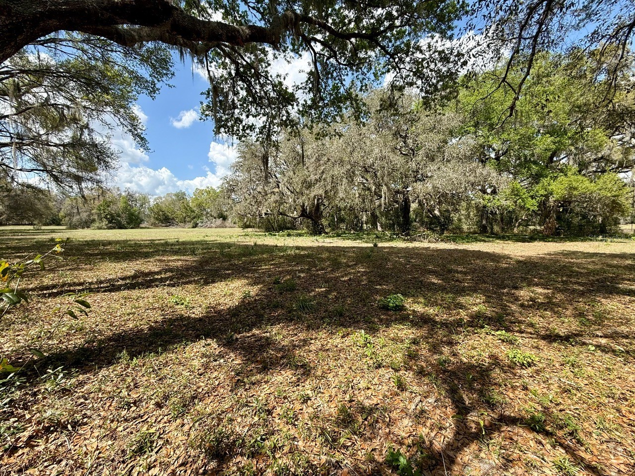 10010 Fort King Road Dade City FL 33525 W7883929 image35