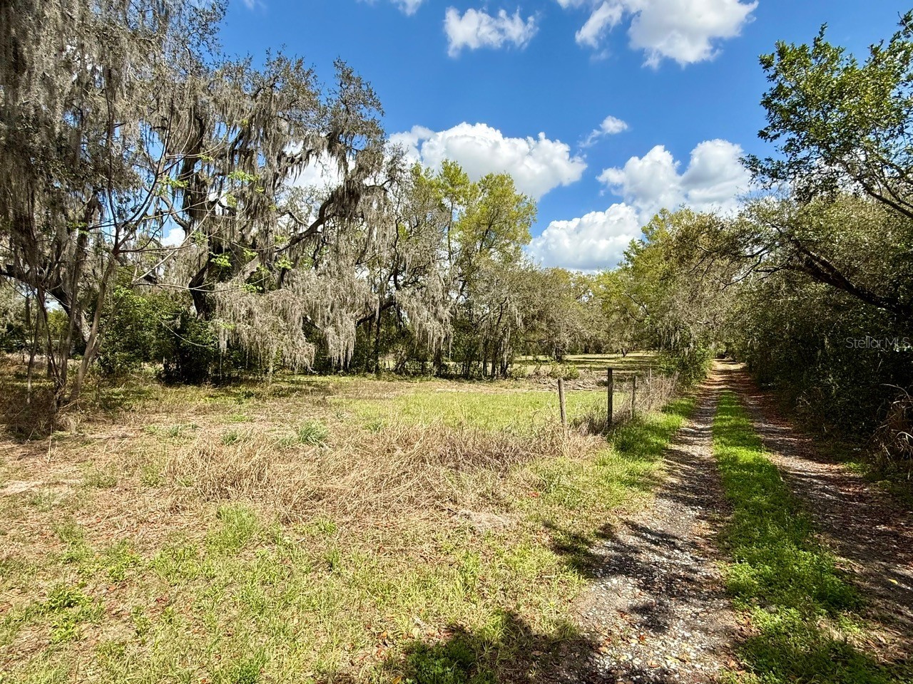10010 Fort King Road Dade City FL 33525 W7883929 image6