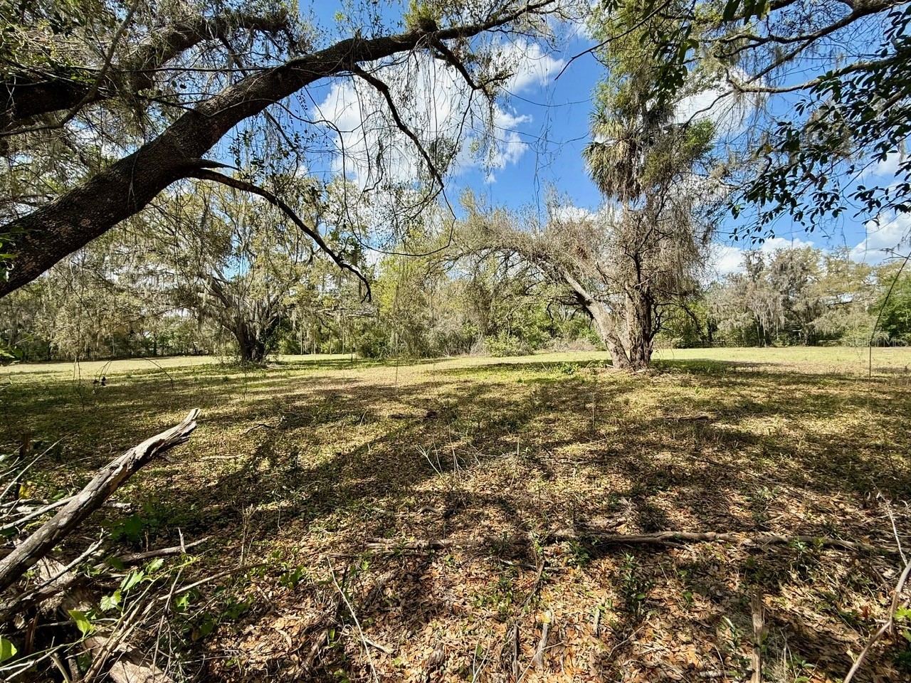 10010 Fort King Road Dade City FL 33525 W7883929 image9
