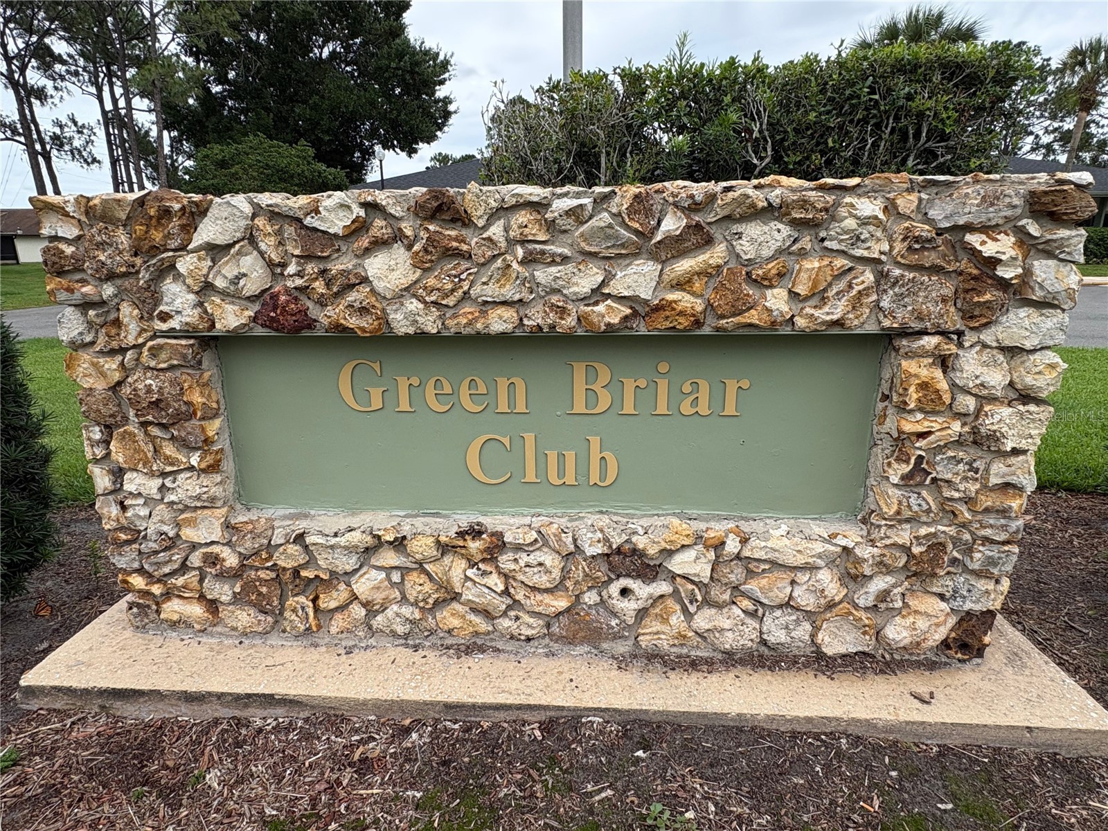 10010 Gannon Lane Orlando FL 32821 O6409698 image40